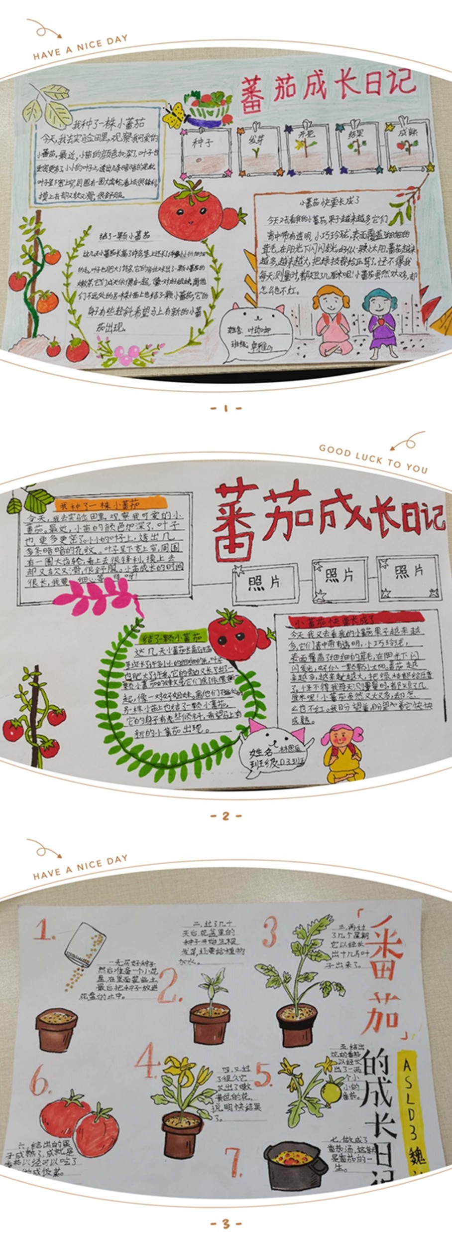 图31.jpg