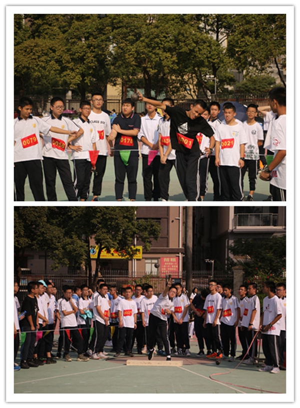 0100铅球.jpg